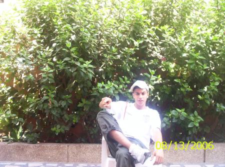 iz myy
